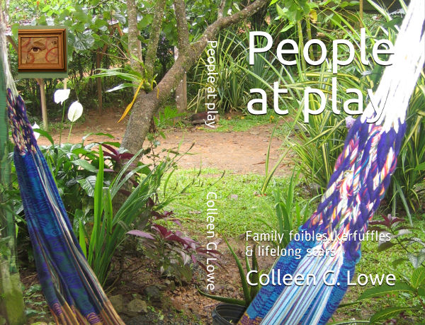 people at play book cover